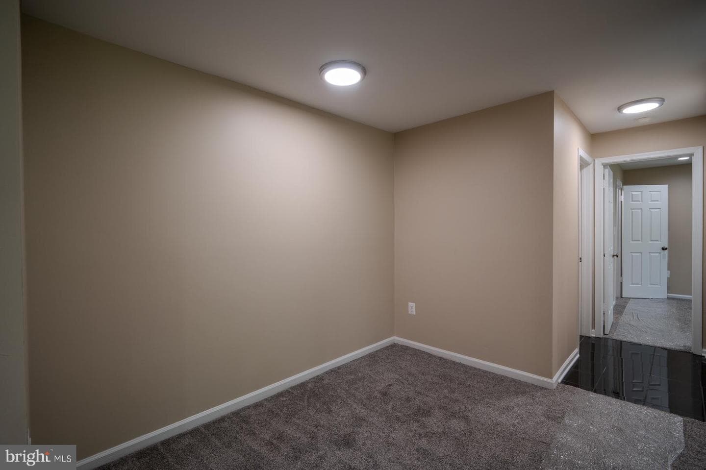 8393 Buttress Lane #101 photo 9