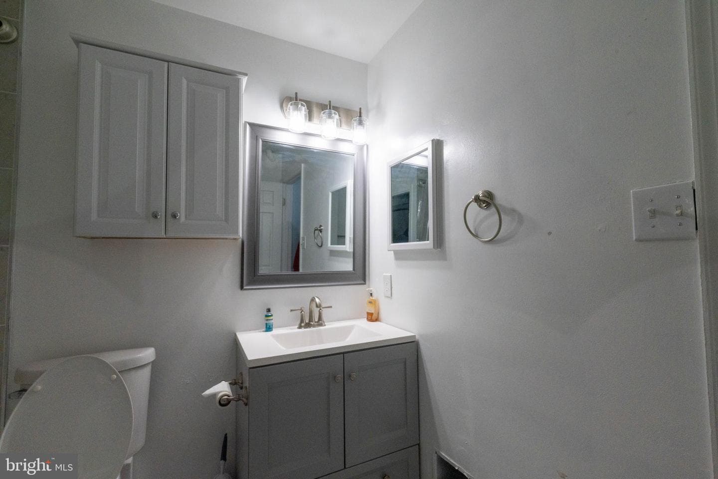 10014 Willow Grove Trail photo 35