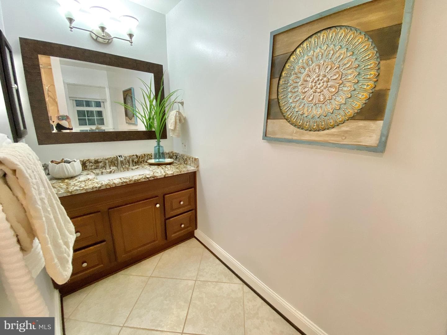 10014 Willow Grove Trail photo 48