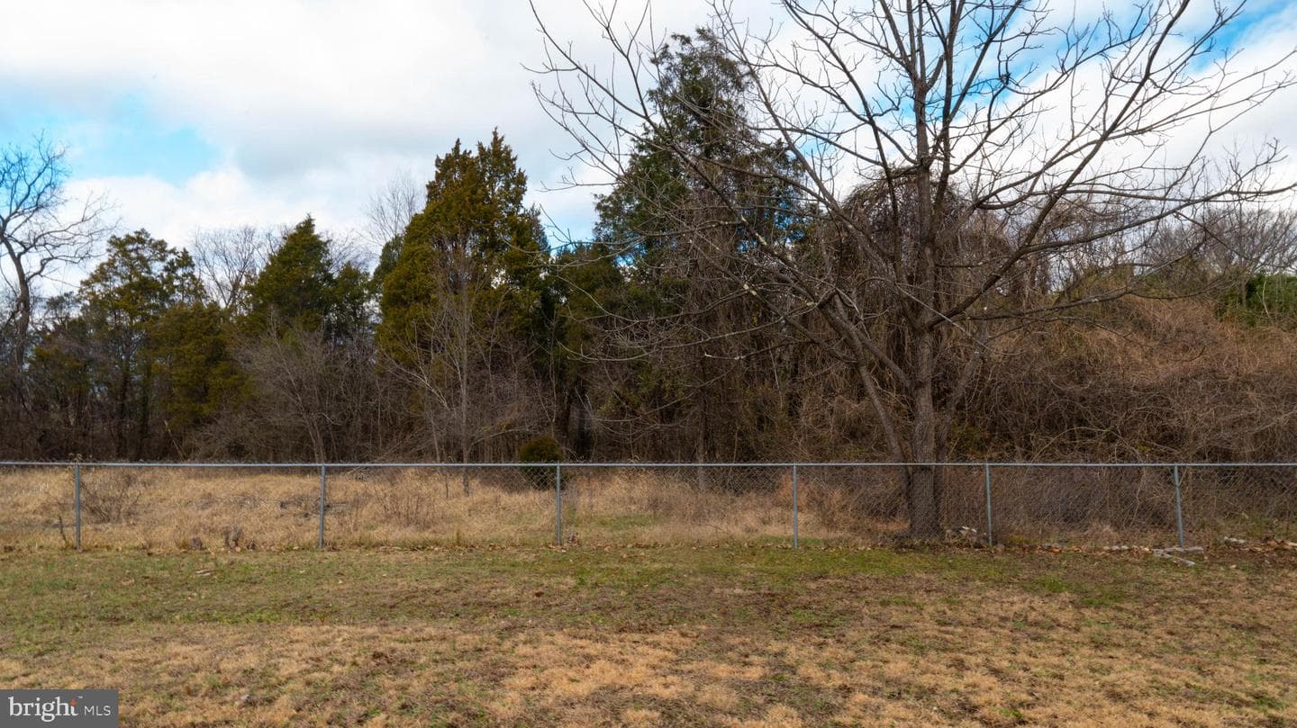 10014 Willow Grove Trail photo 57