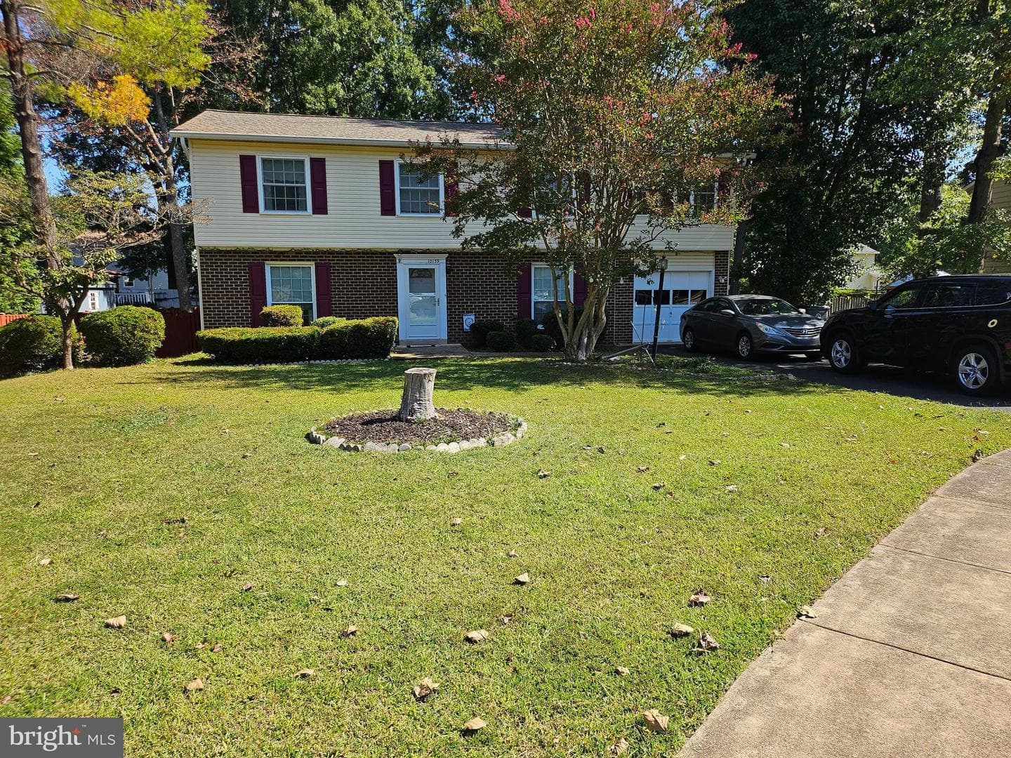 10139 Springhouse Court photo 1