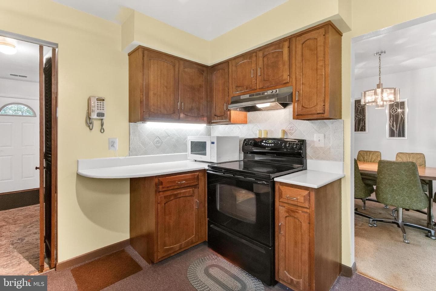 10139 Springhouse Court photo 22
