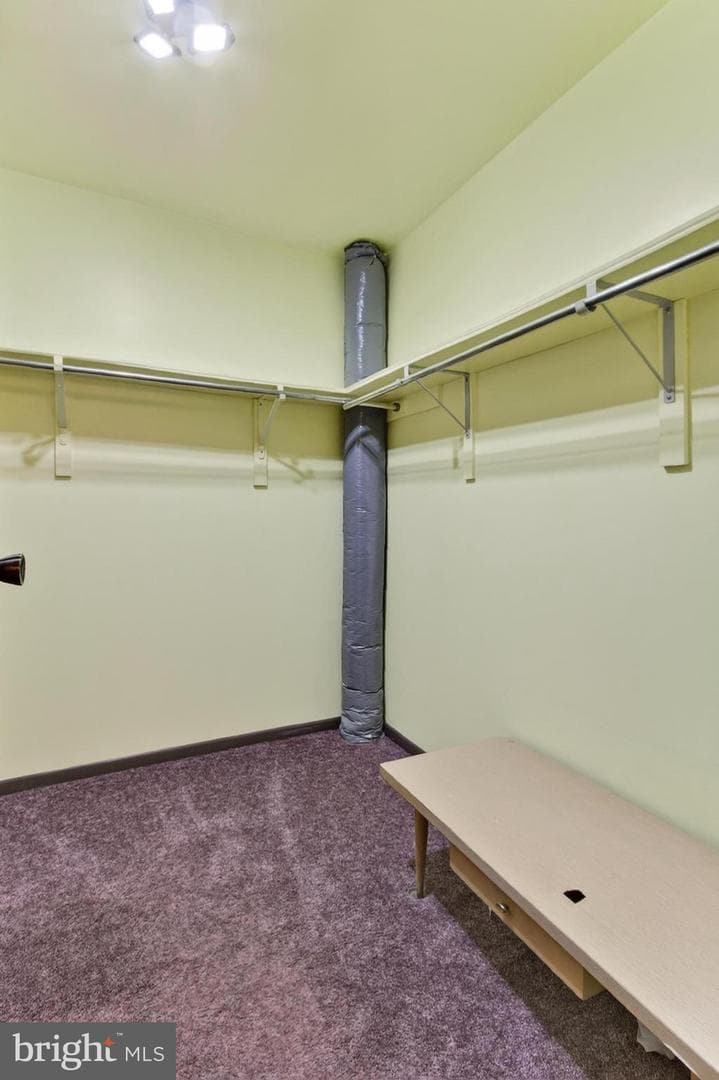 10139 Springhouse Court photo 34