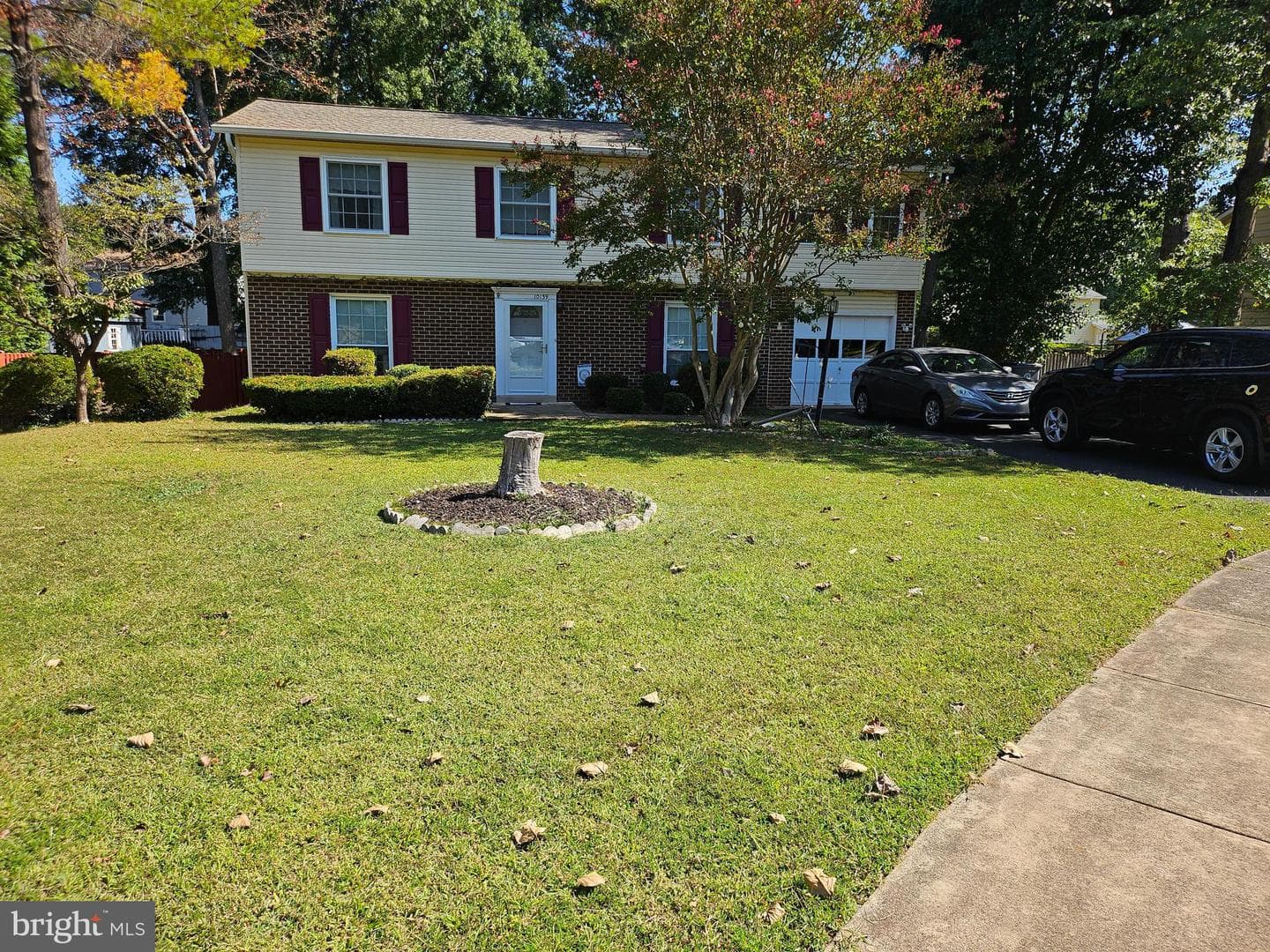 10139 Springhouse Court photo 4
