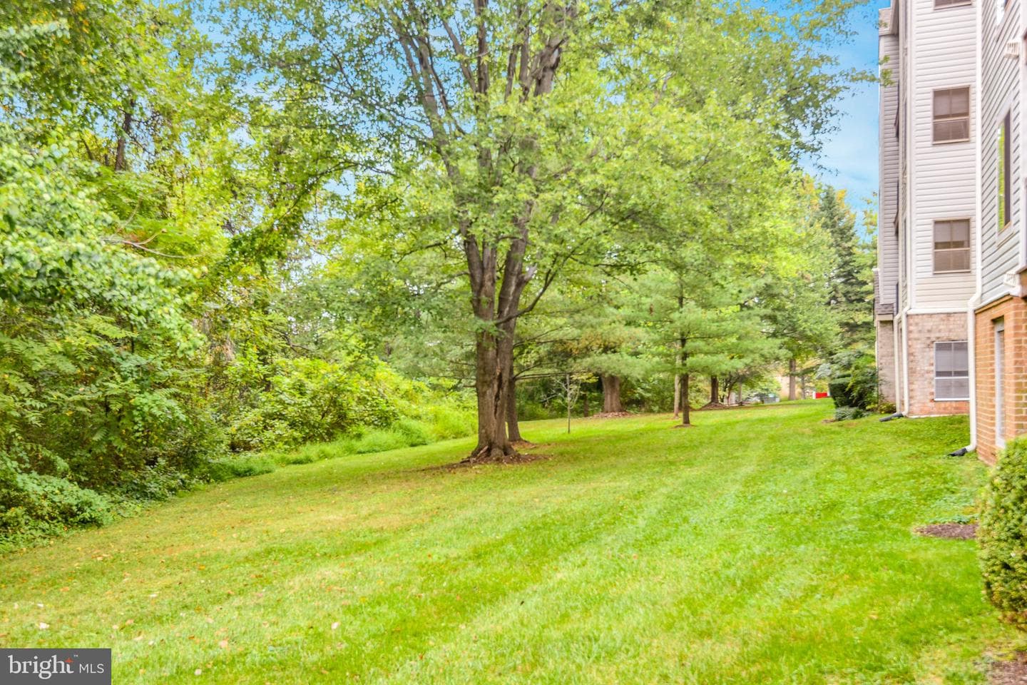9554 Cannoneer Court #101 photo 14