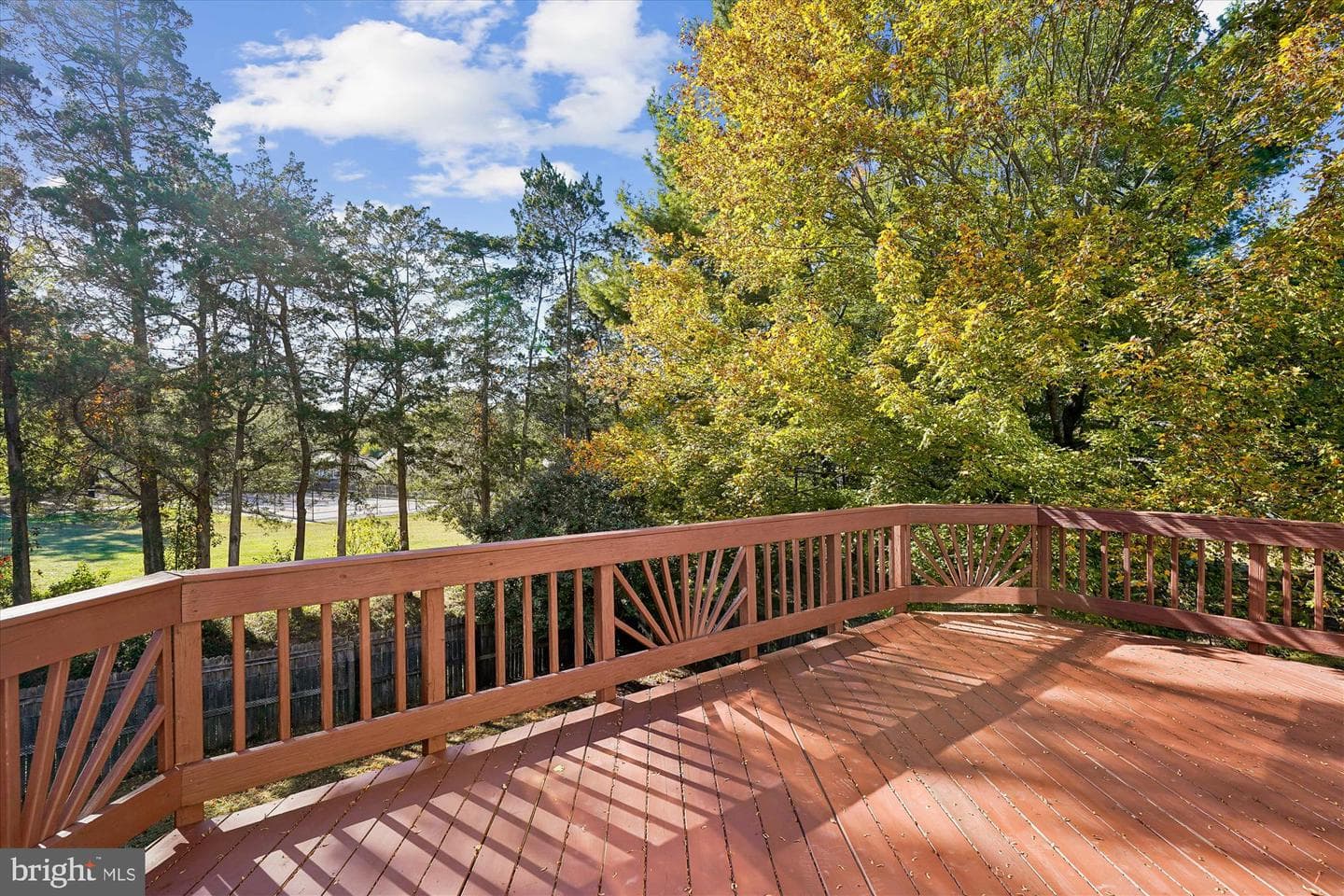 10138 Forest Hill Circle photo 44