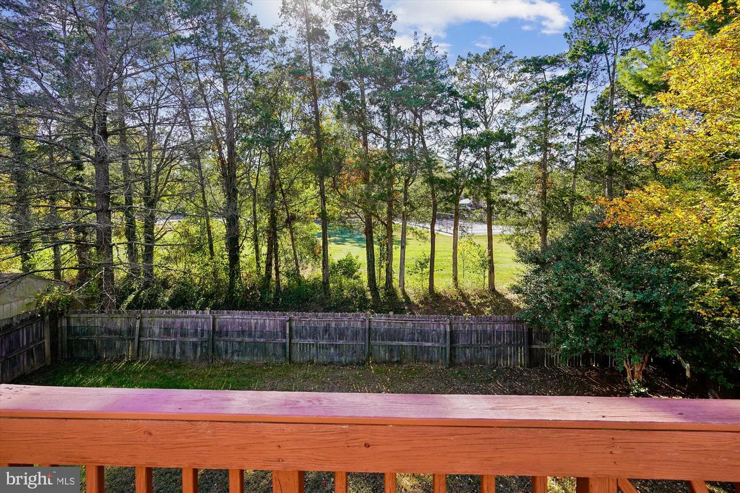 10138 Forest Hill Circle photo 49