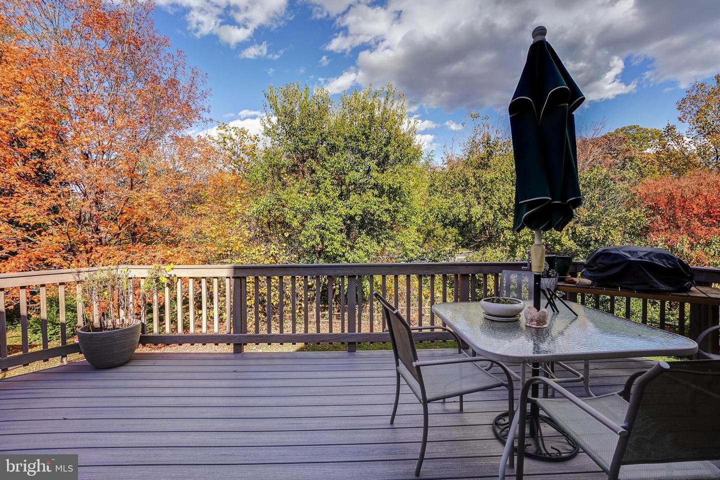 10151 Allwood Court photo 31