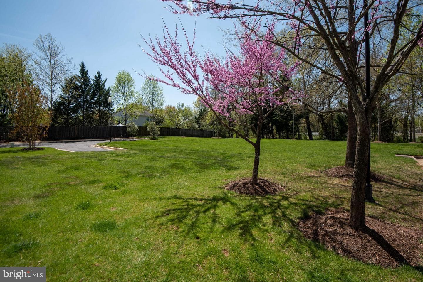 8600 Liberty Trail #303 photo 47