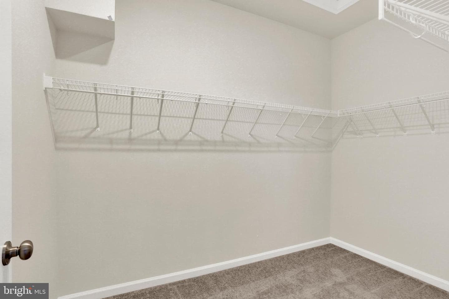 9666 Swallowtail Lane photo 36