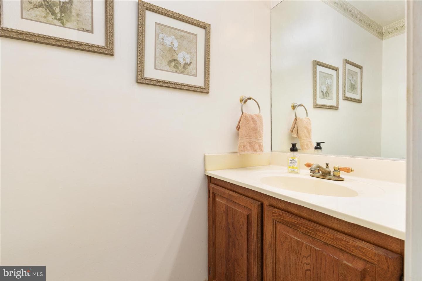 10283 Cedar Ridge Drive photo 4