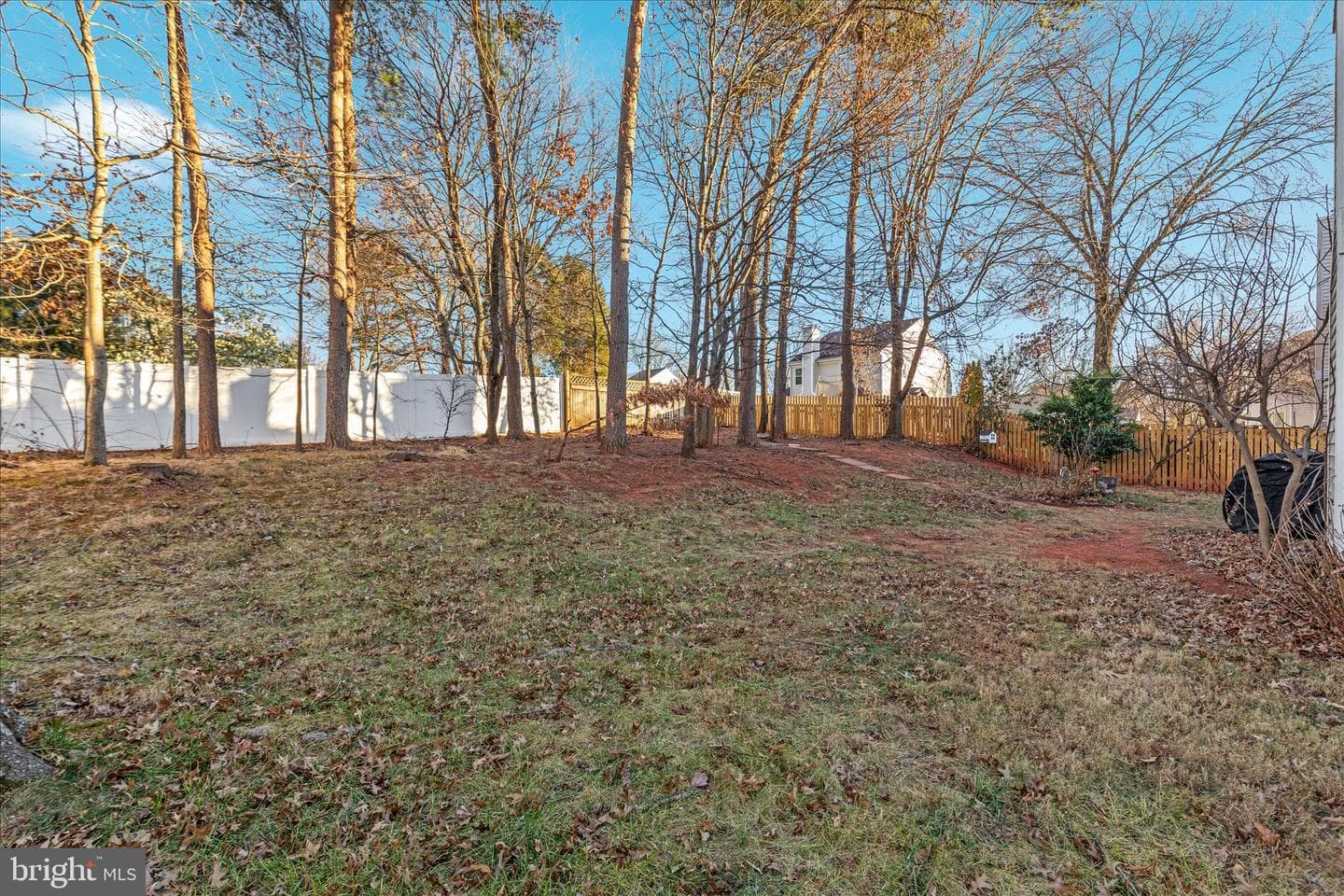 10283 Cedar Ridge Drive photo 44