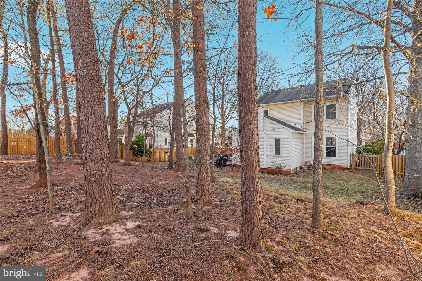 10283 Cedar Ridge Drive photo 45