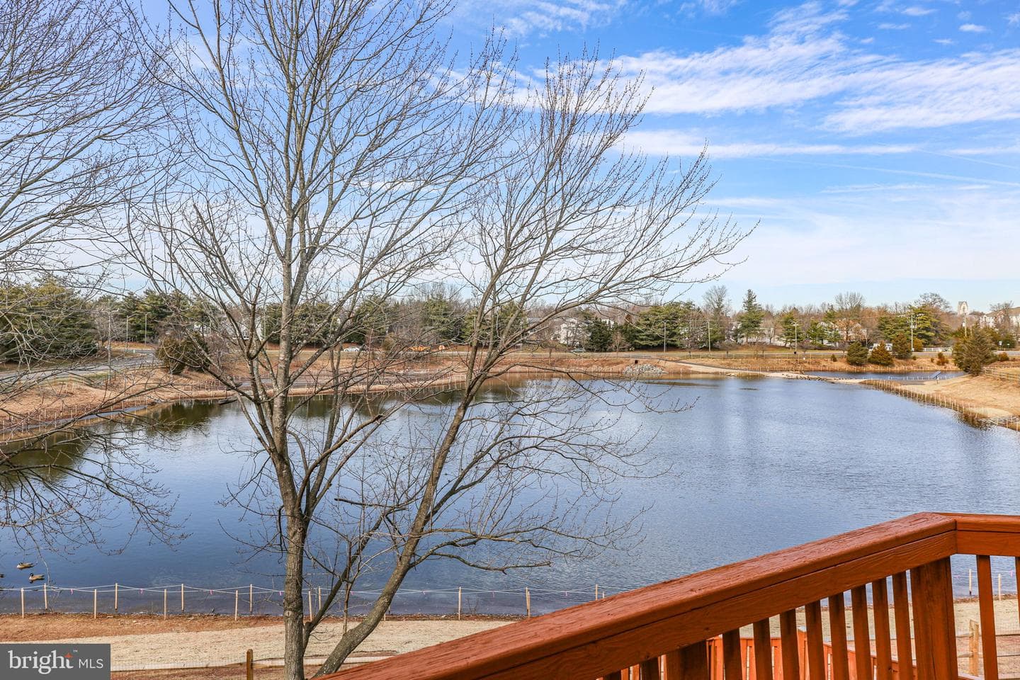 10260 Magnolia Grove Drive photo 41