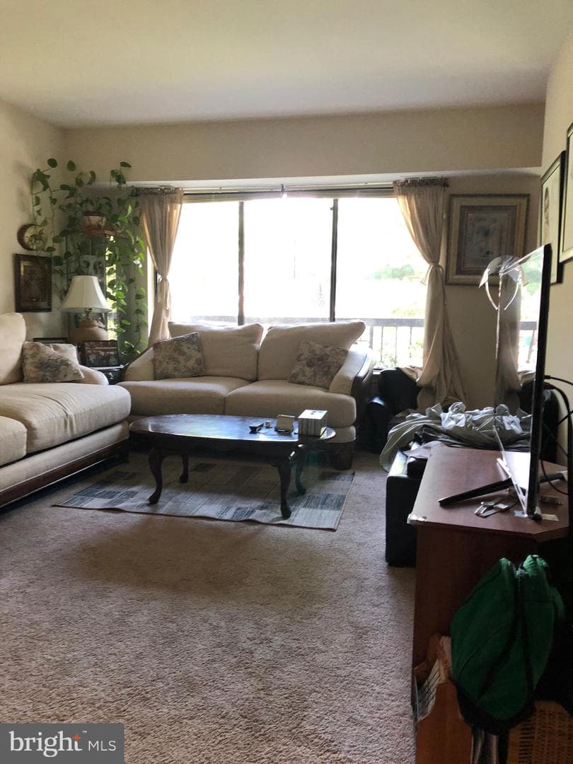 8376 Buttress Lane #203 photo 4