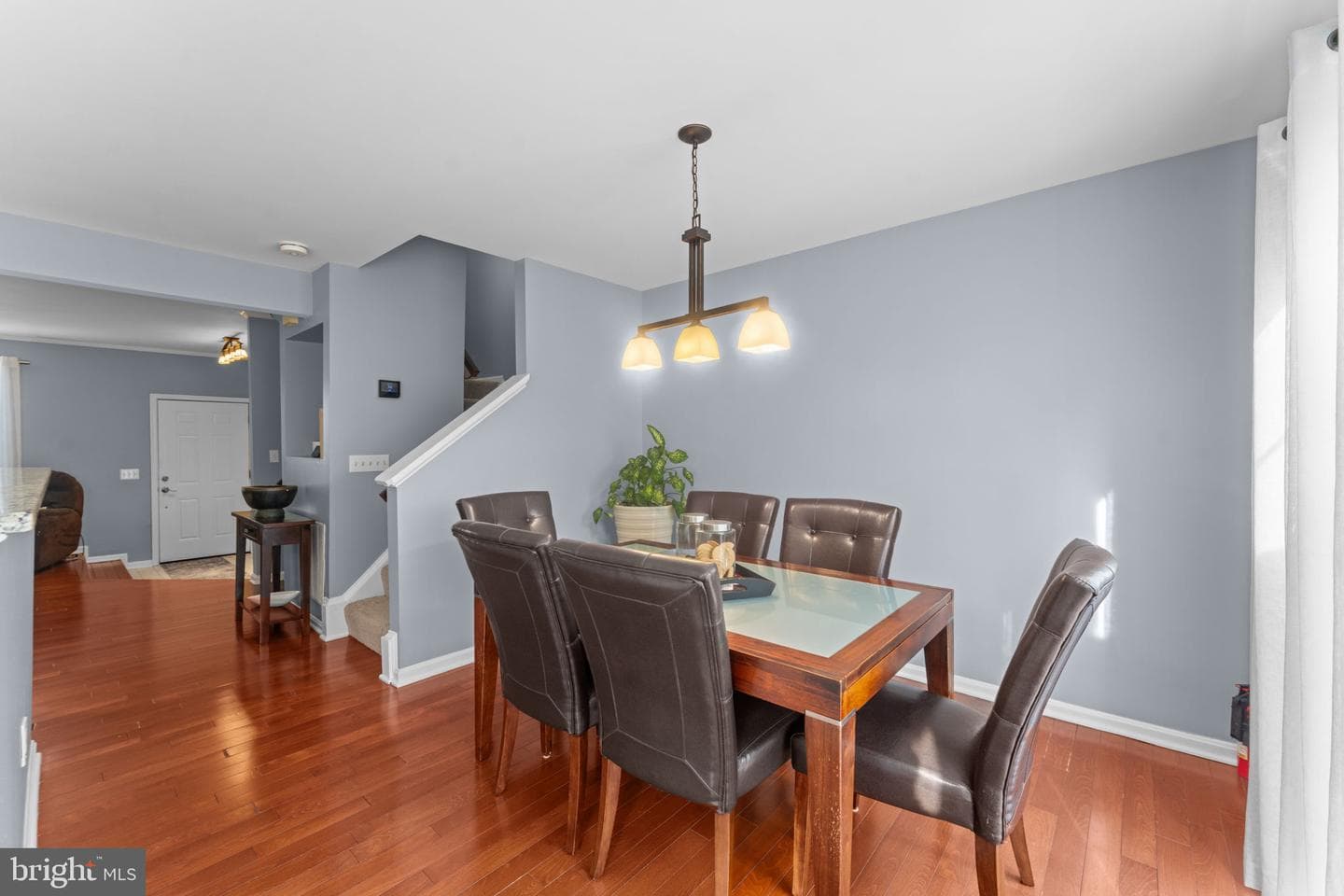 10207 Calypso Drive photo 13