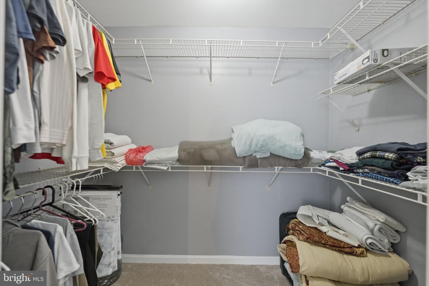10207 Calypso Drive photo 30