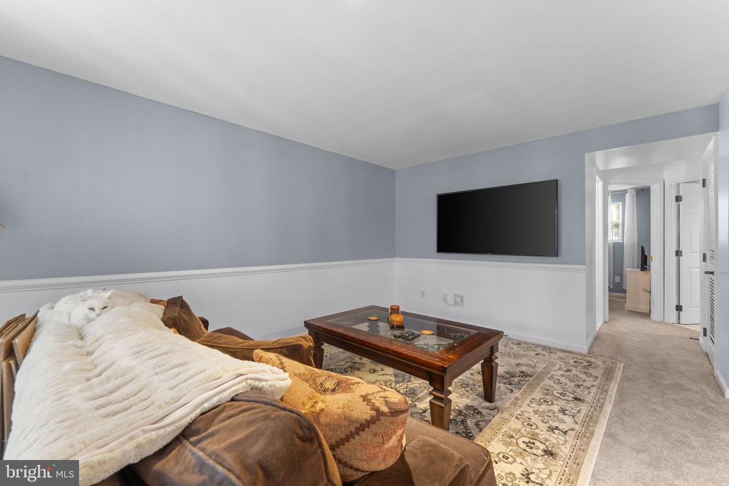 10207 Calypso Drive photo 39