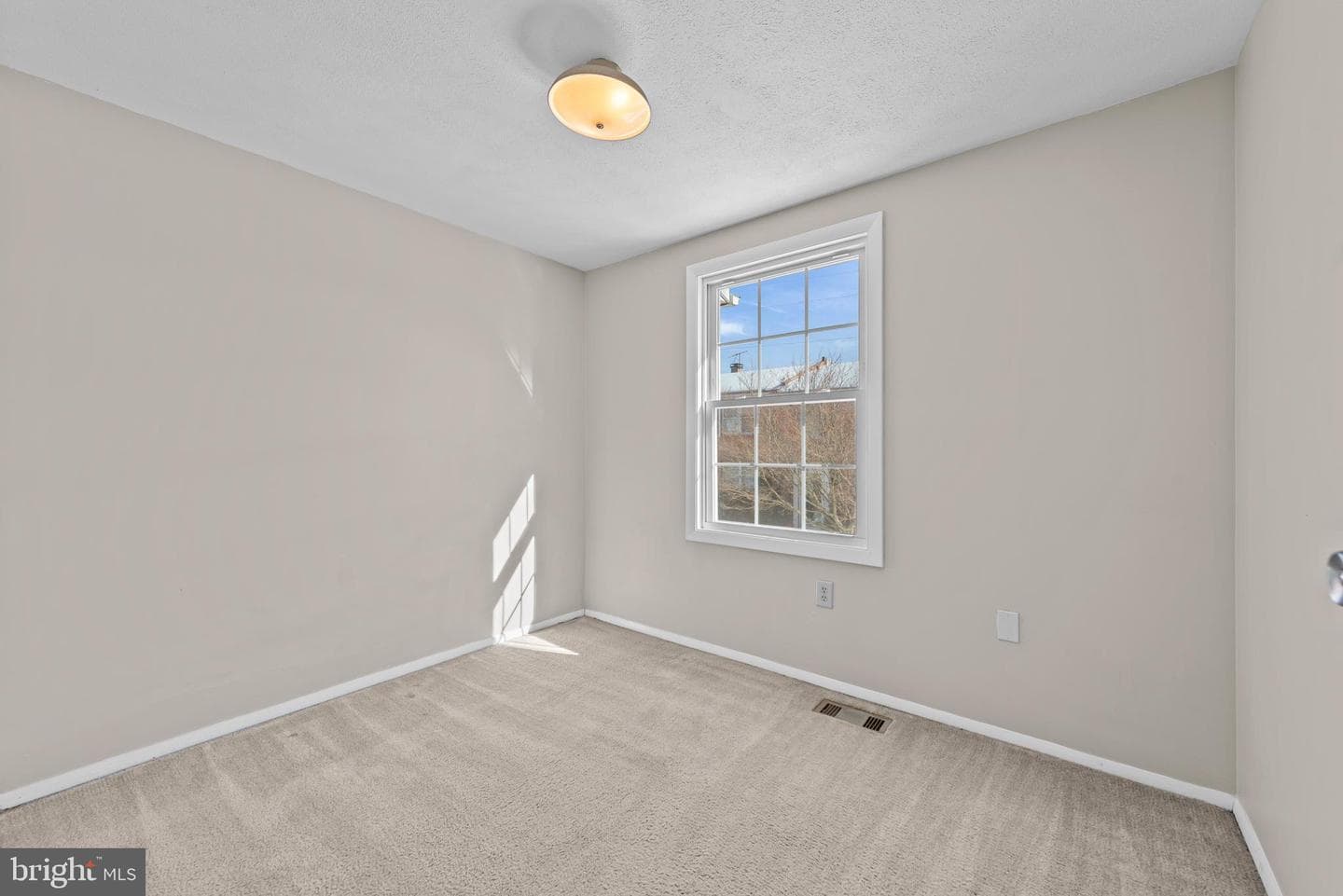 8392 Shady Grove Circle photo 20