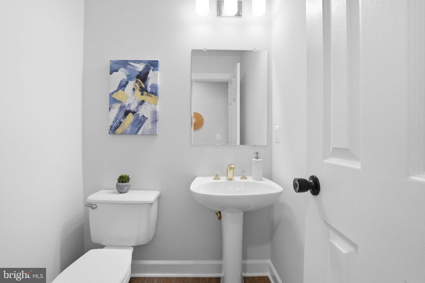 10162 Corydalis Court photo 28