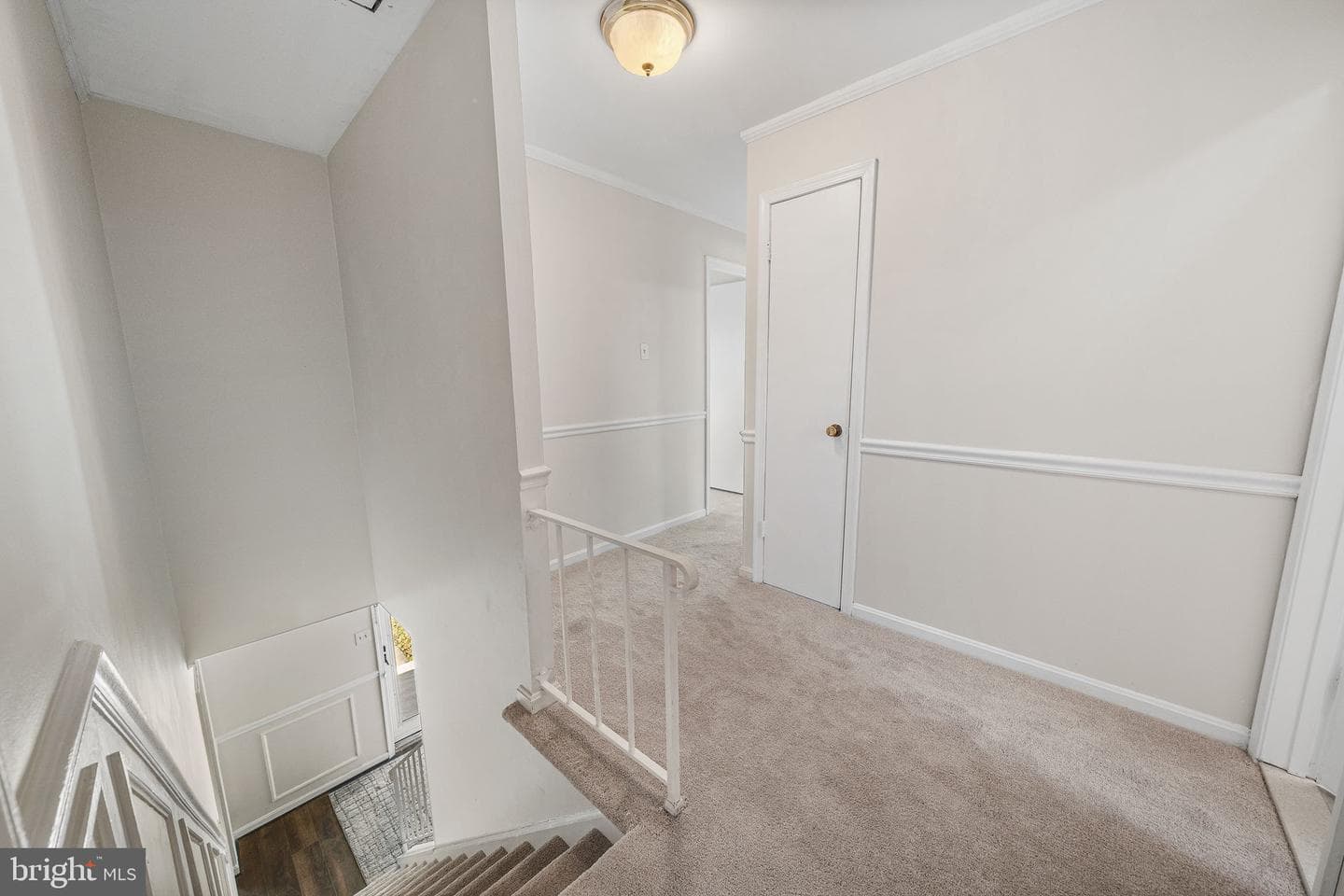 8811 Cather Avenue photo 29