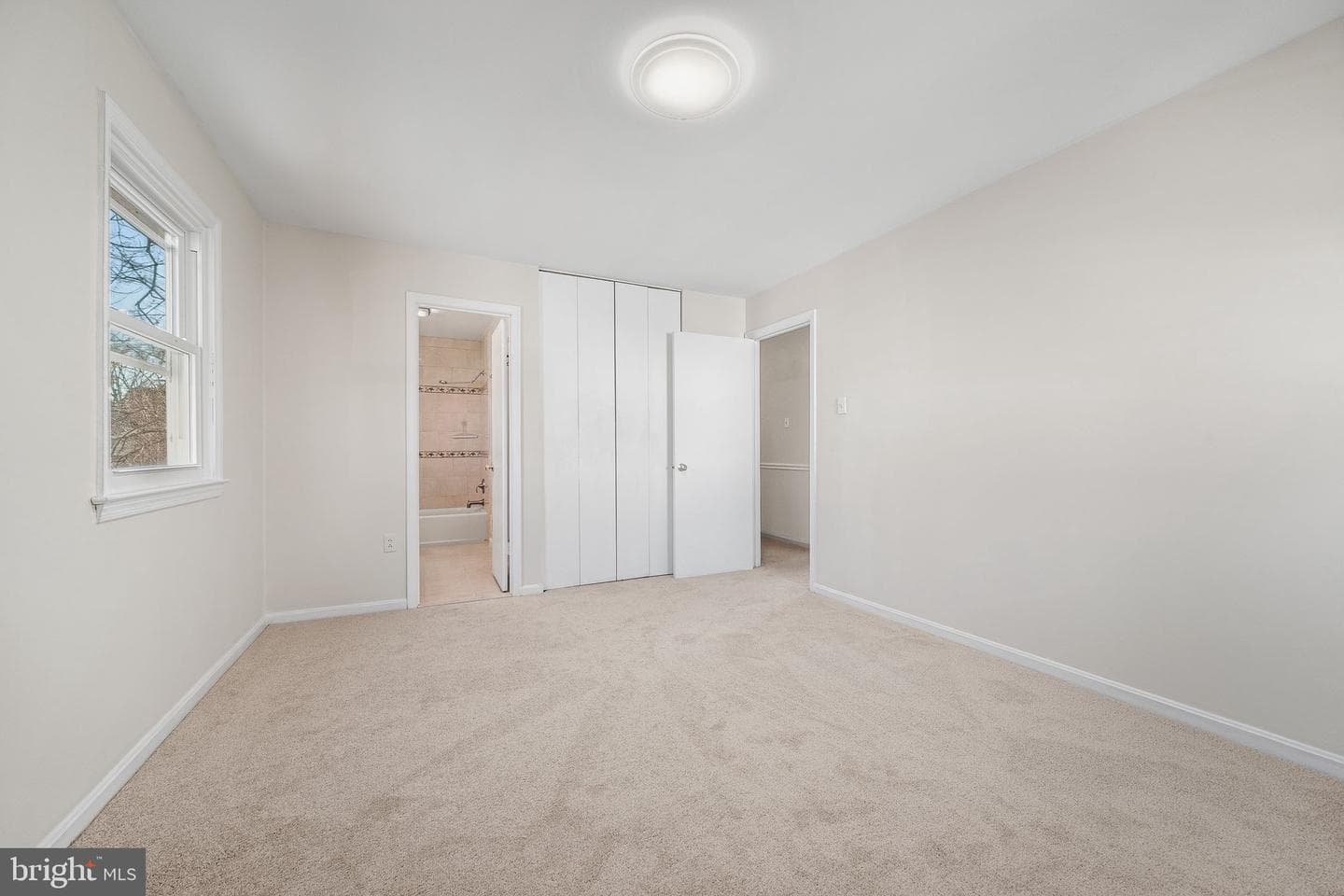 8811 Cather Avenue photo 39