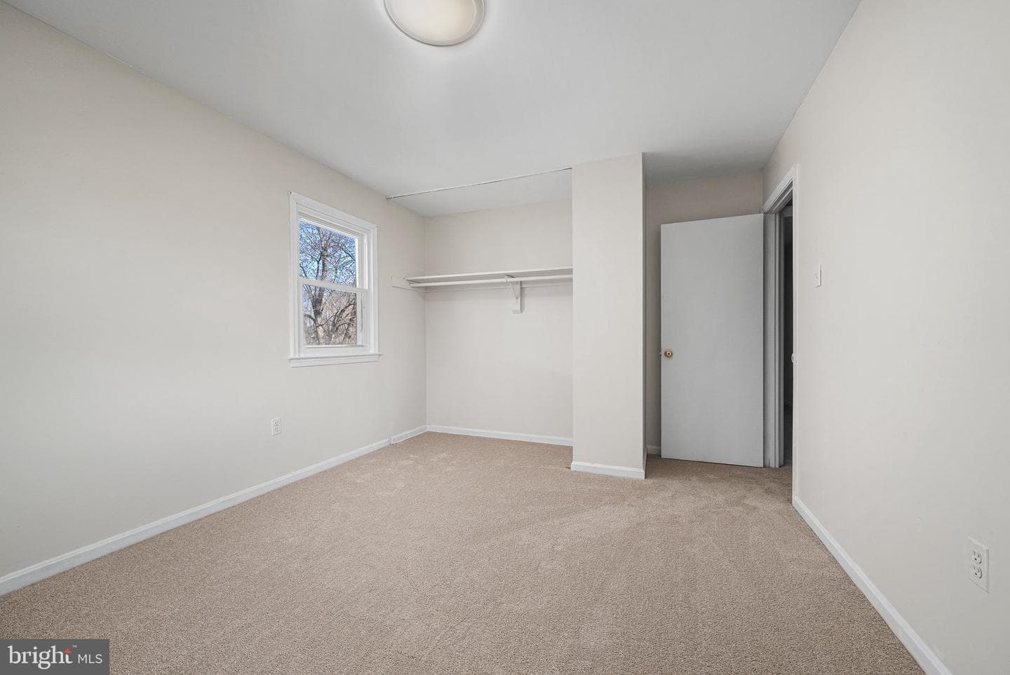 8811 Cather Avenue photo 40