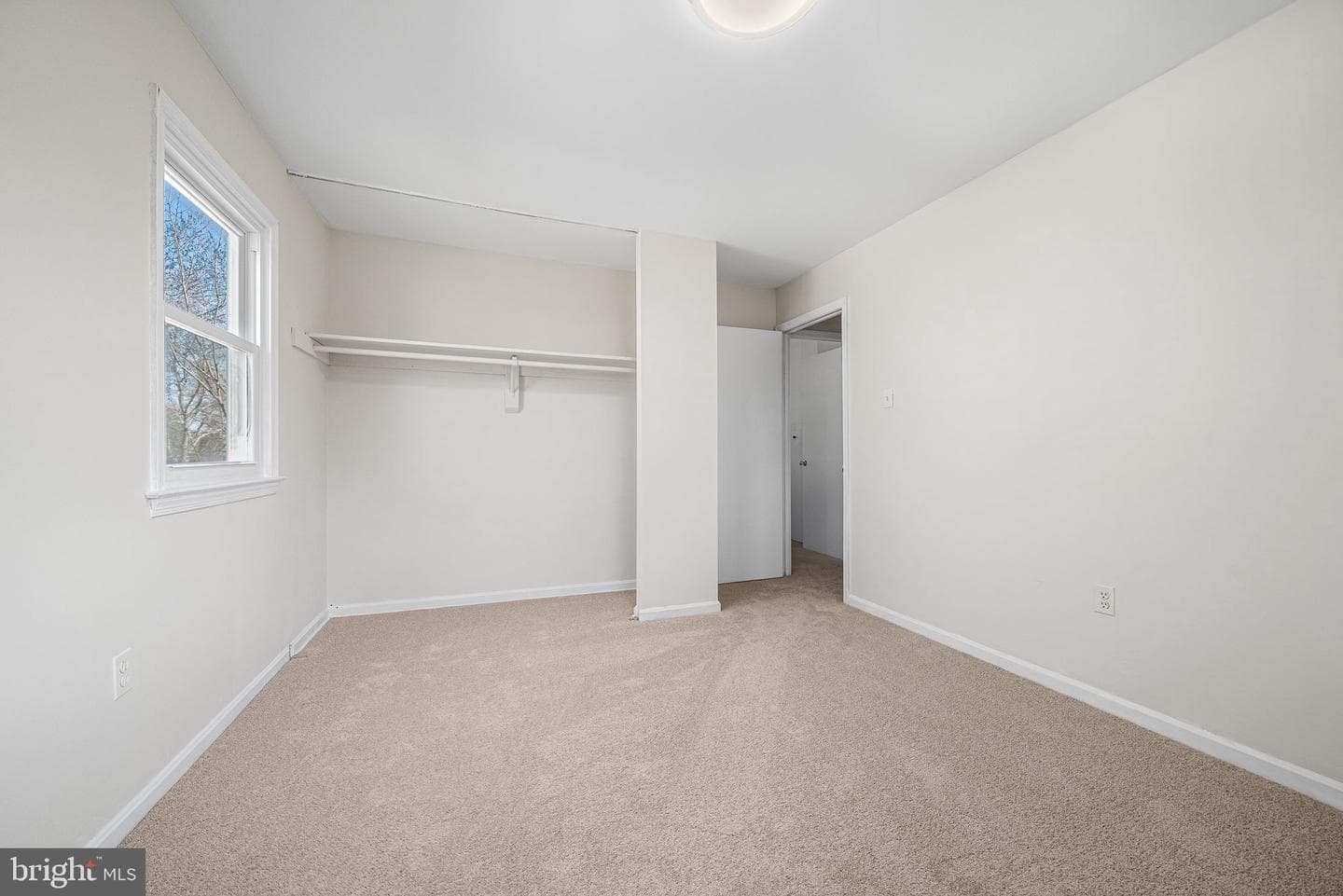 8811 Cather Avenue photo 47