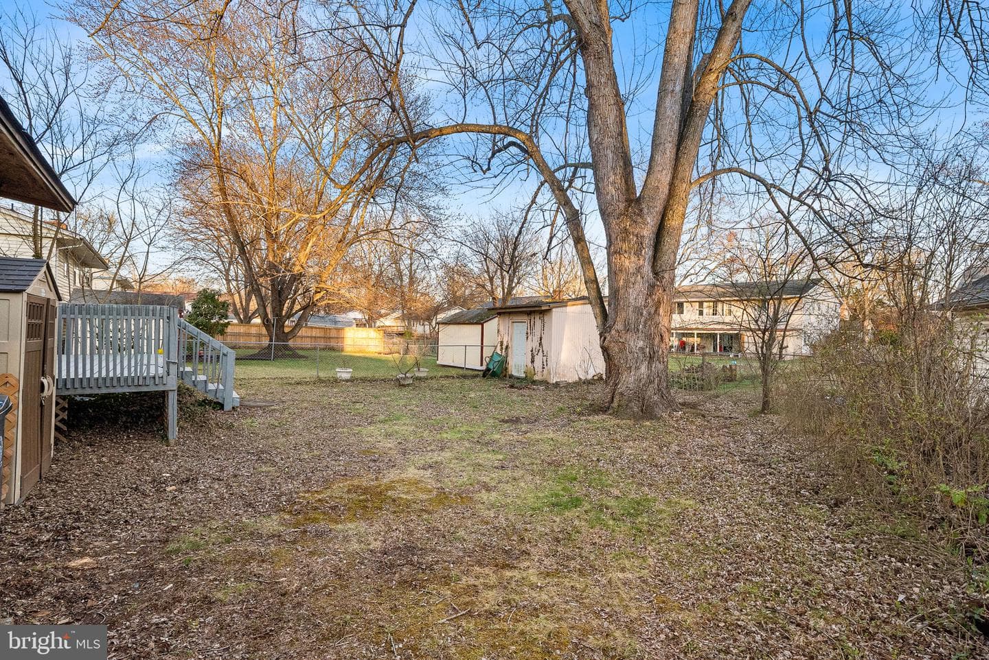 8811 Cather Avenue photo 50