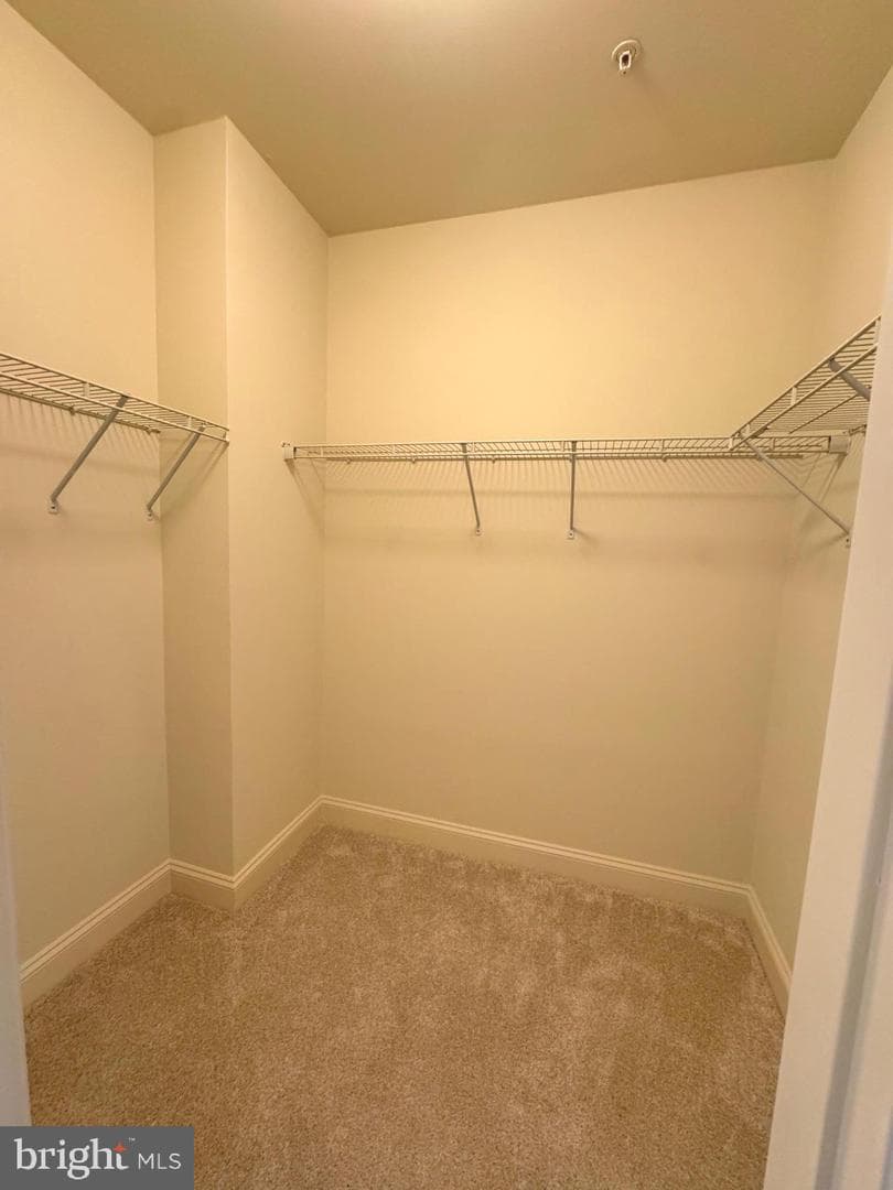 9202 Charleston Drive #405 photo 23