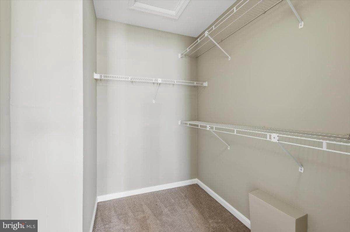 9304 Witch Hazel Way photo 29