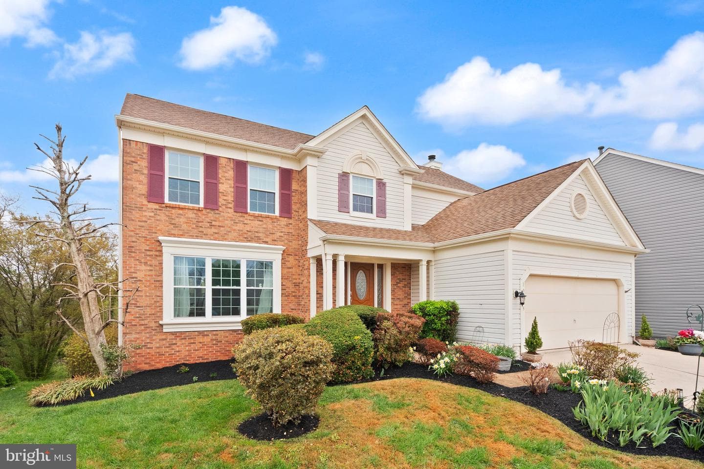 10135 Allwood Court photo 2