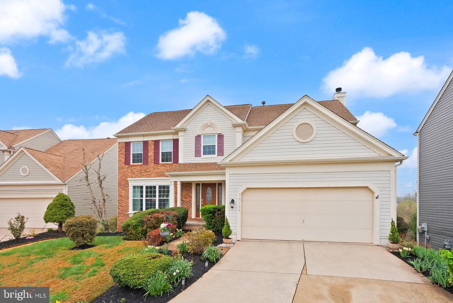 10135 Allwood Court photo 6