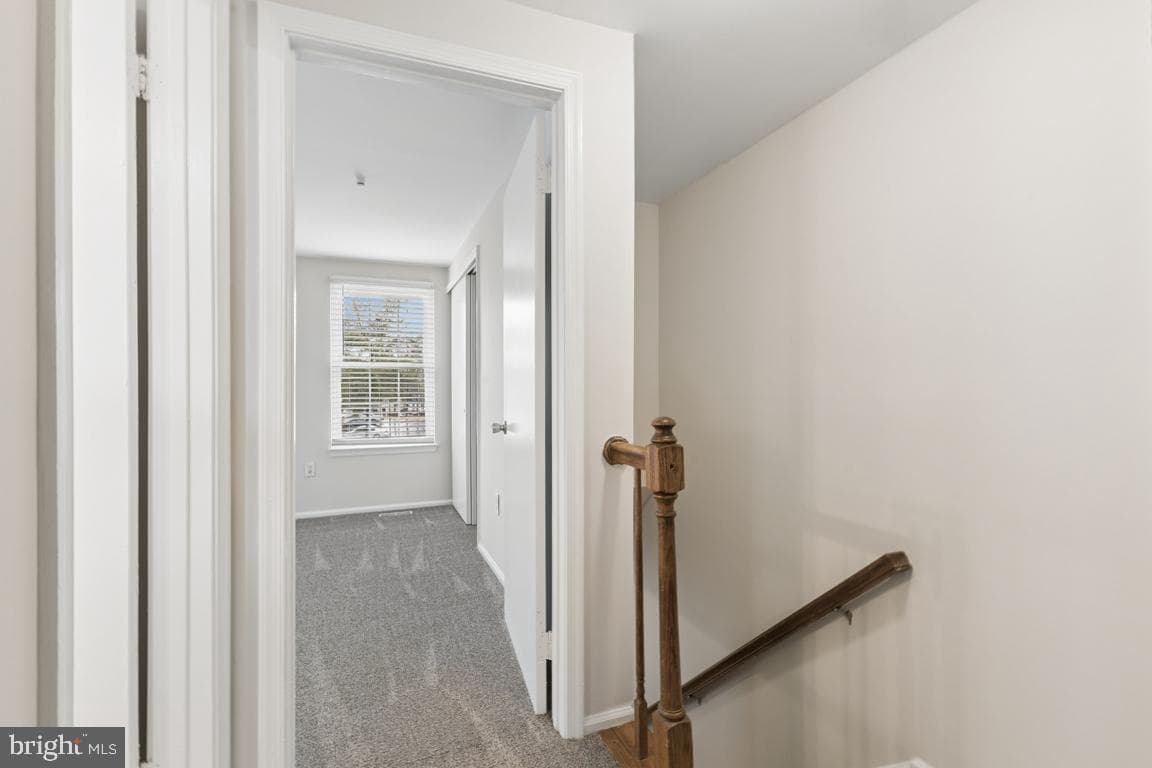 8653 Braxted Lane photo 18