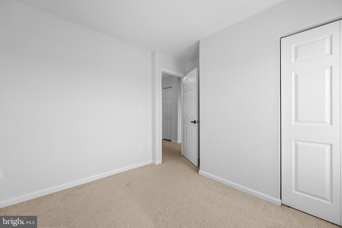 10269 Calypso Drive photo 19
