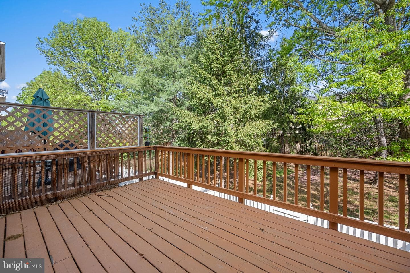 10269 Calypso Drive photo 34