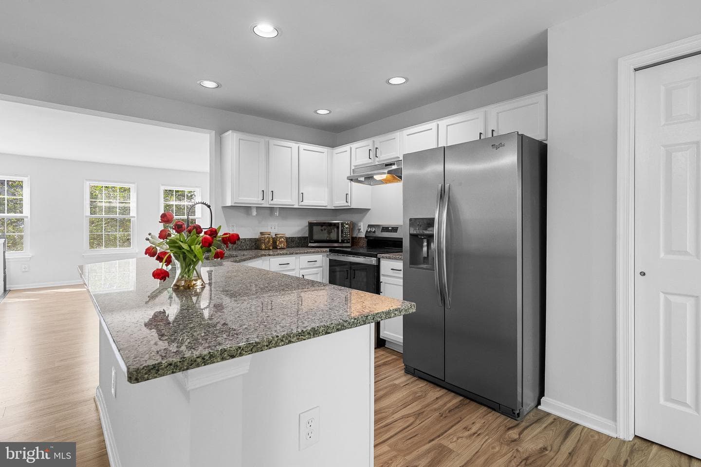 10269 Calypso Drive photo 7