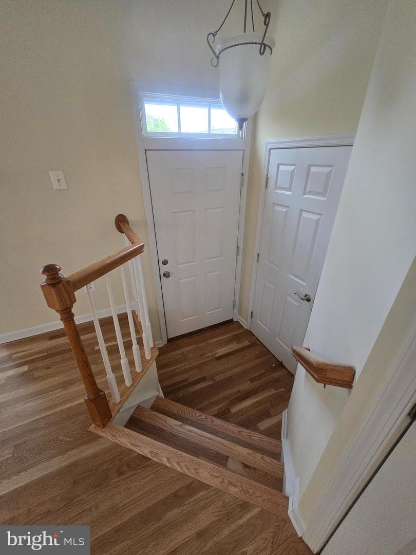 10331 Butternut Circle photo 3