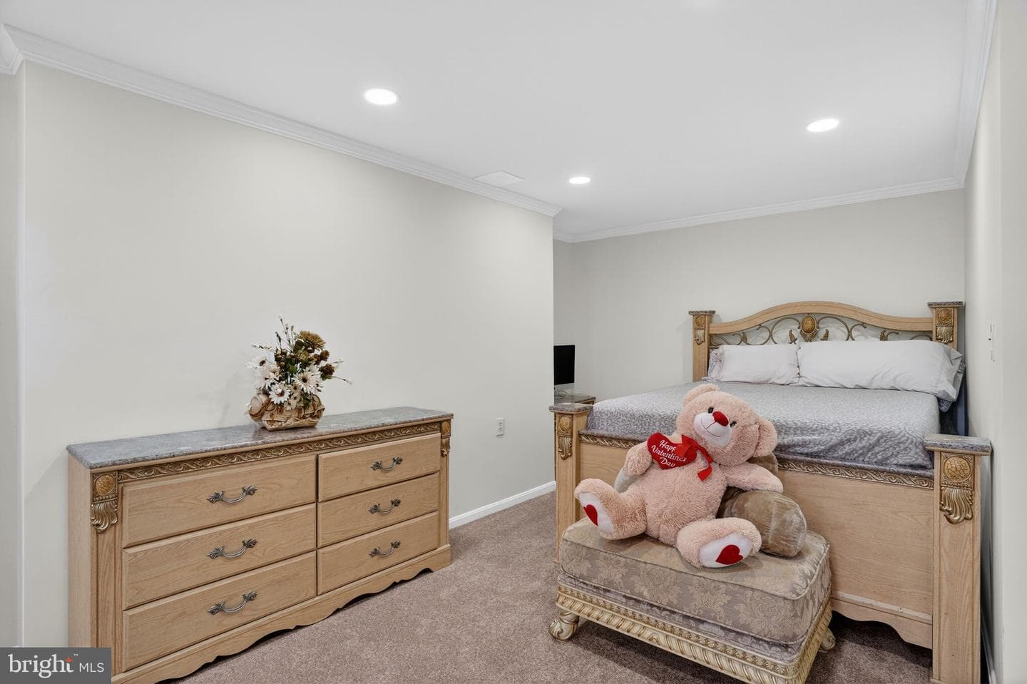 10272 Cedar Ridge Drive photo 43