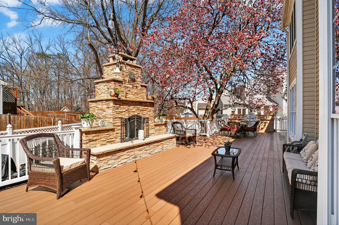 10272 Cedar Ridge Drive photo 47