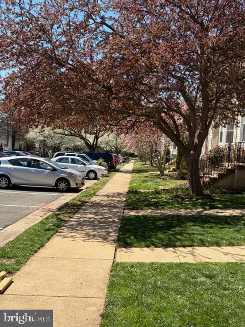 9036 Coriander Circle photo 6