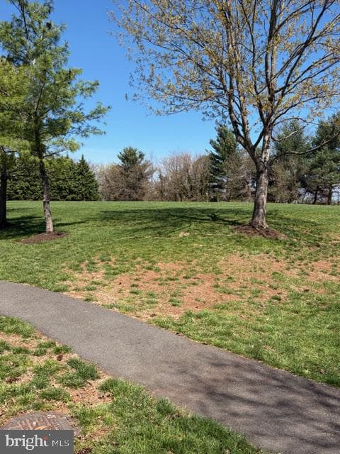 9036 Coriander Circle photo 9