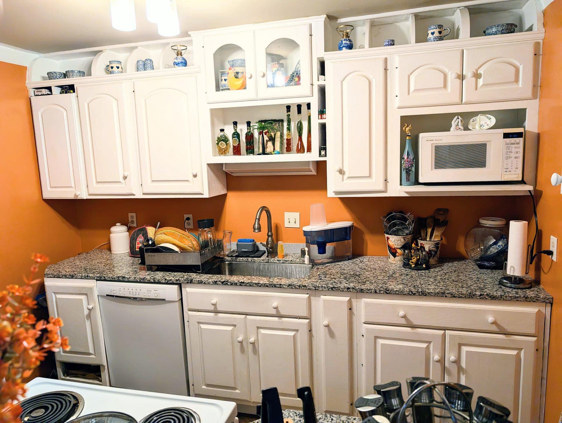 9824 Town Lane photo 15