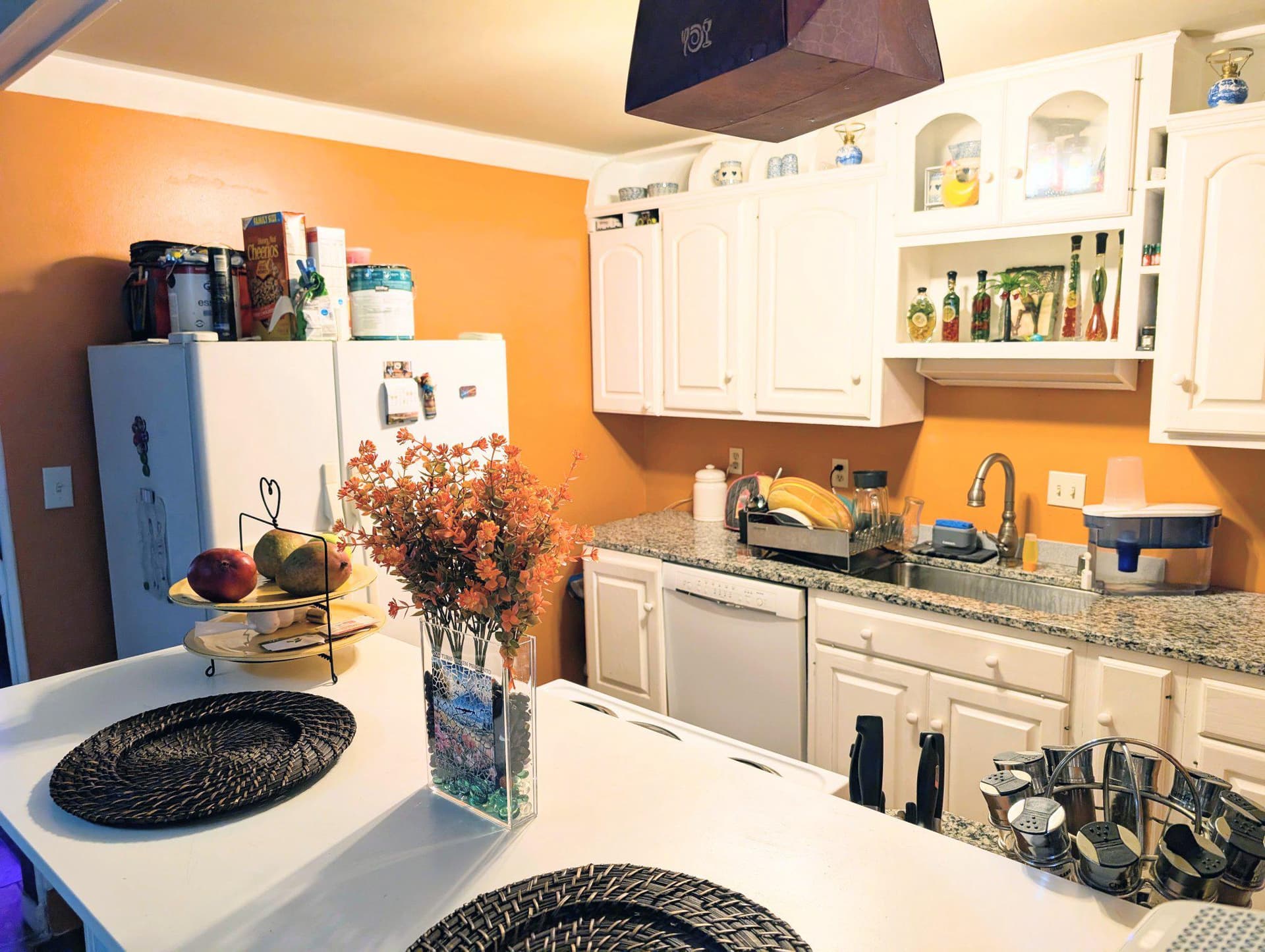 9824 Town Lane photo 17