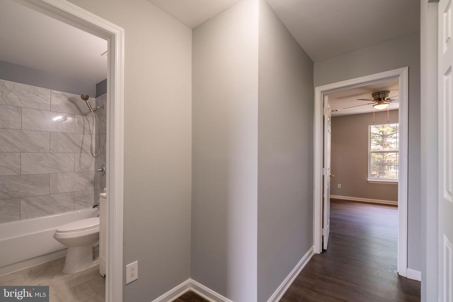 10287 Calypso Drive photo 53