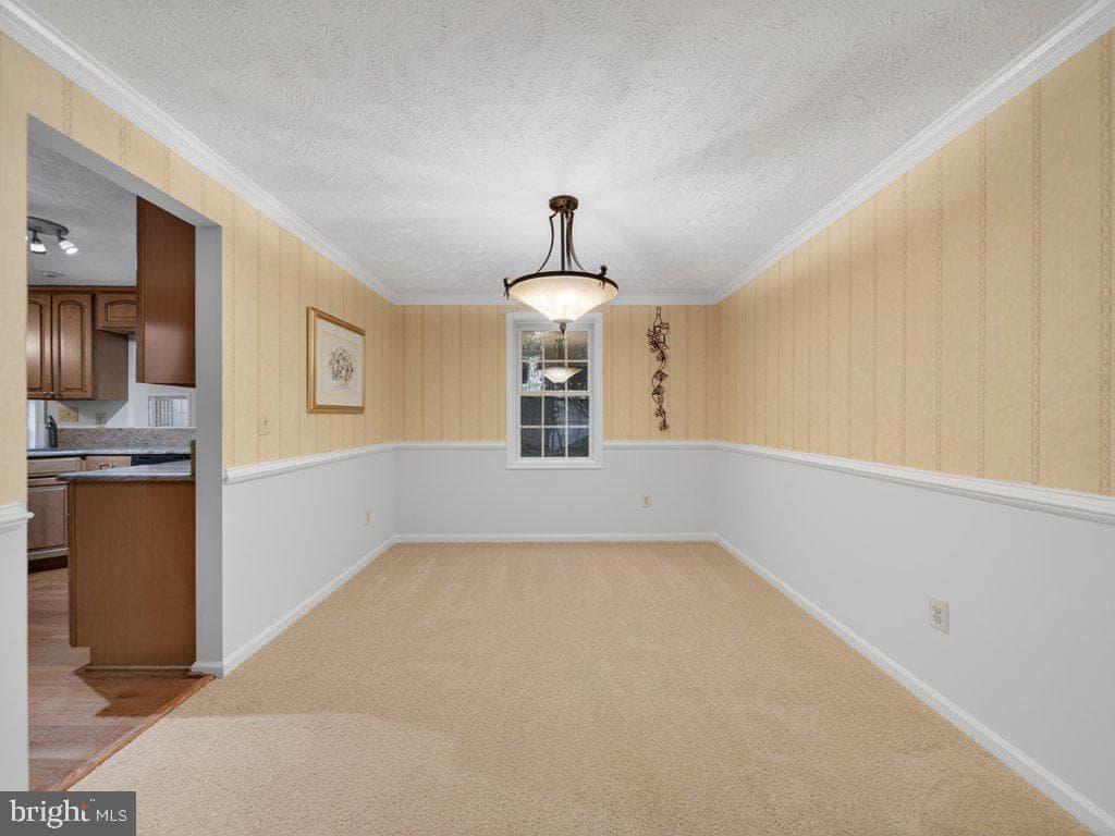 9136 Karlo Street photo 10
