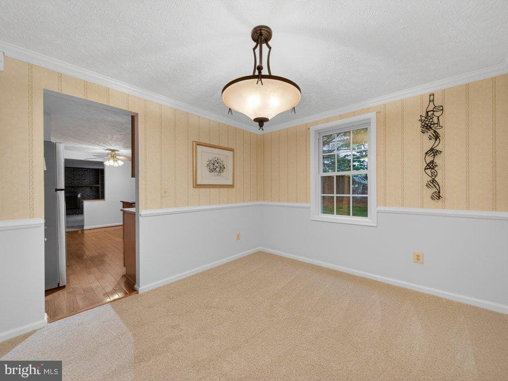 9136 Karlo Street photo 11