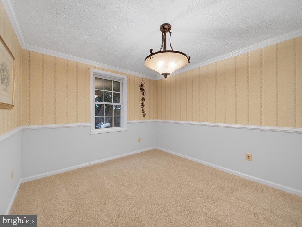 9136 Karlo Street photo 12