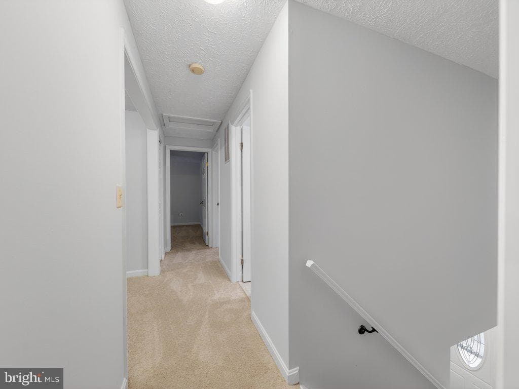 9136 Karlo Street photo 31