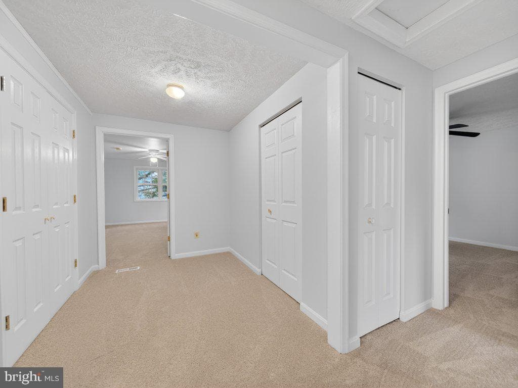 9136 Karlo Street photo 33